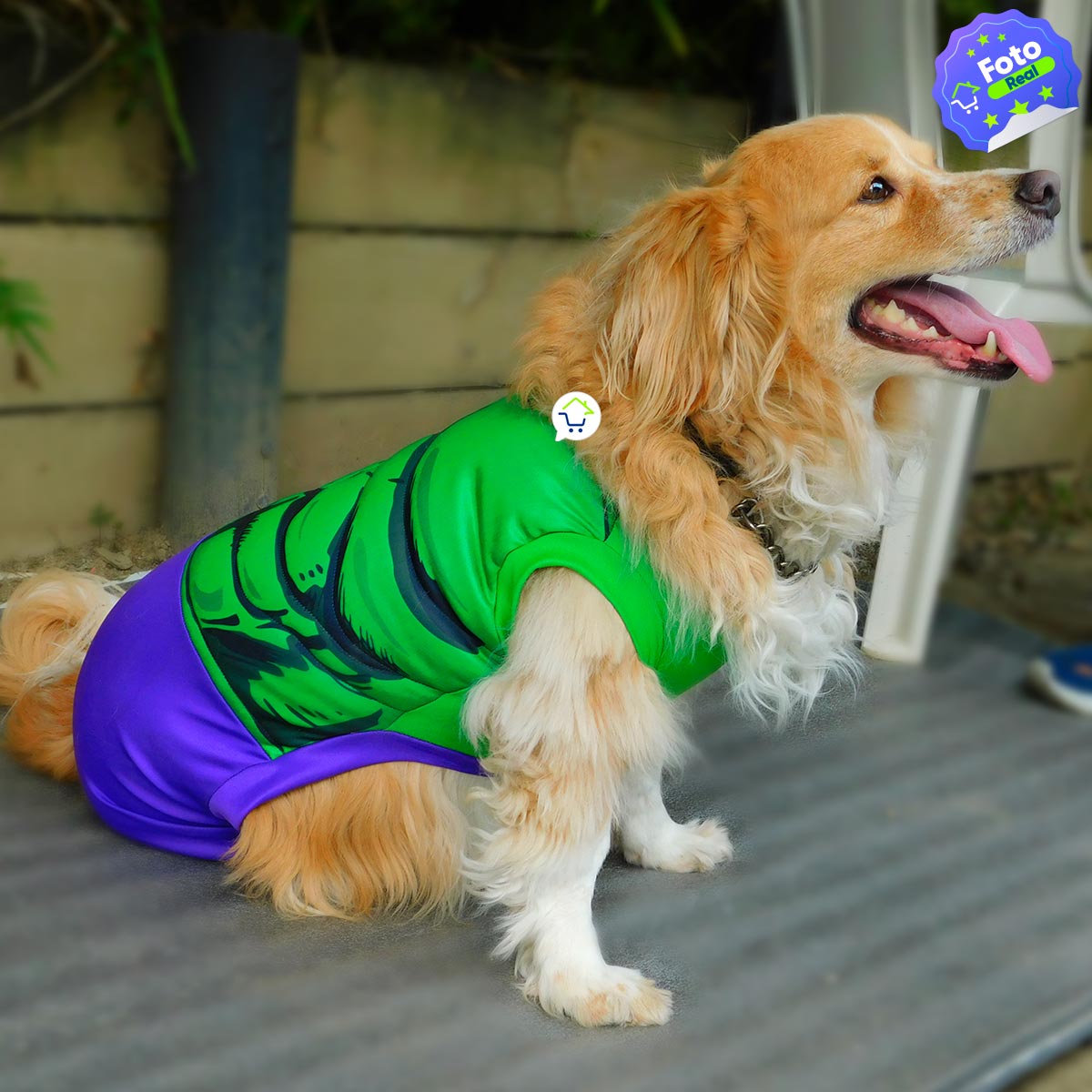 Disfraz Para Mascotas De Hulk