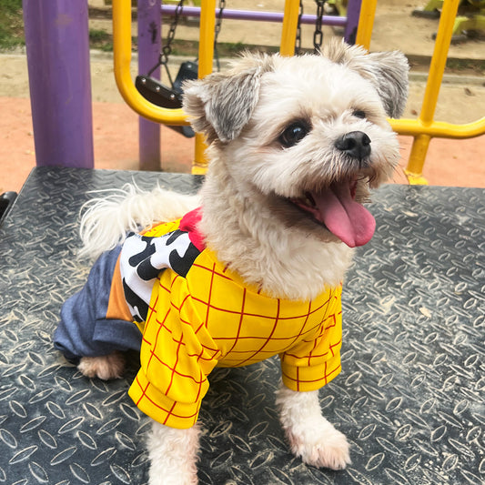 Disfraz Para Mascotas Woody - Edición especial